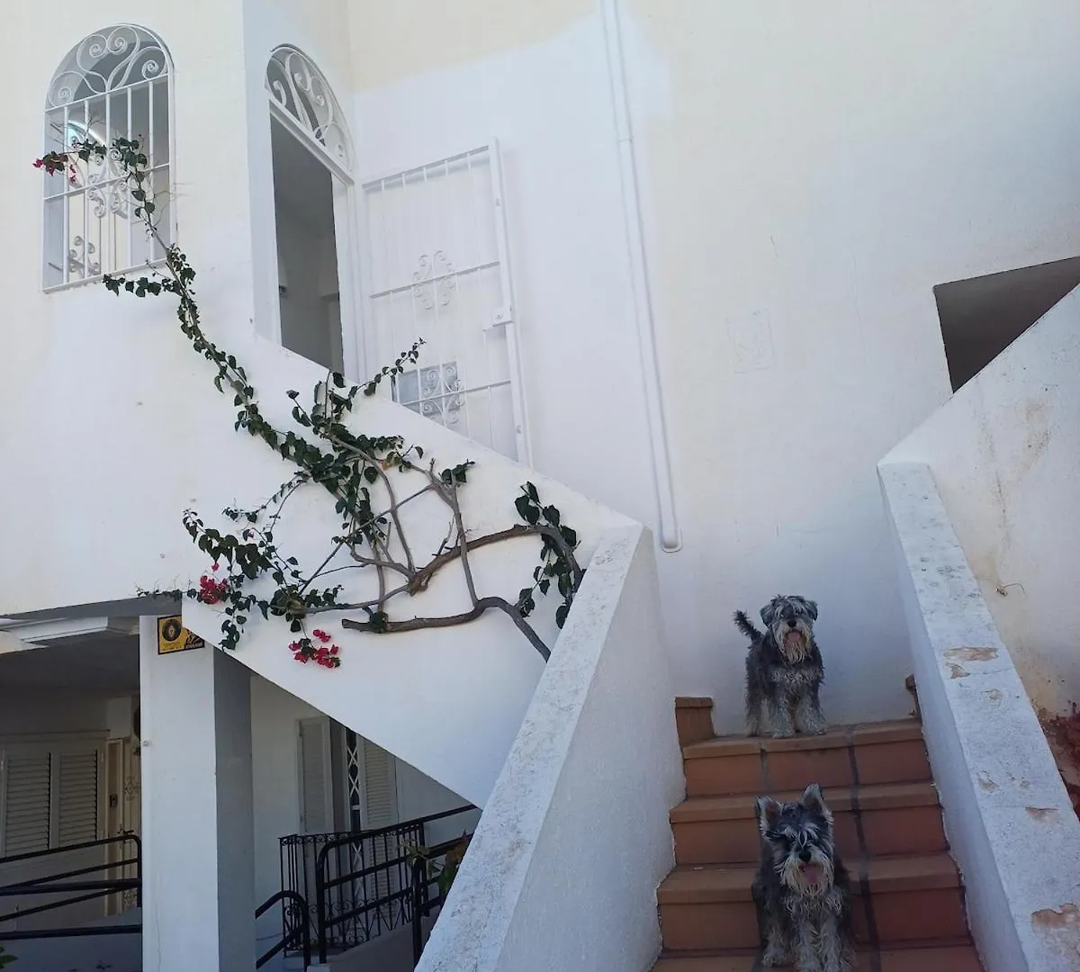 Sunny Apartment In Mojacar With Sea Views 0*,